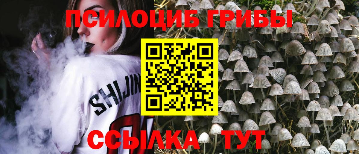 Галлюциногенные грибы ЛСД Славянск-на-Кубани
