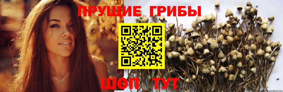 Славянск-на-Кубани  Галлюциногенные грибы Cubensis  Галлюциногенные грибы Magic Shrooms  Вход с VPN 